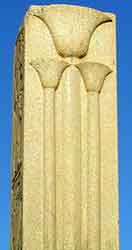 papyrus campaniform column
