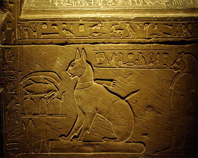 tombe du chat du prince Thutmose, Egypte ancienne, 18ème dinastie 